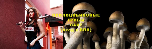 2c-b Волосово