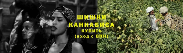 тгк Володарск