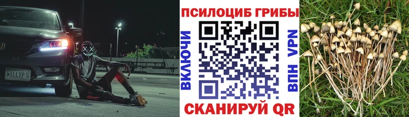 Псилоцибиновые грибы Magic Shrooms  Каменногорск 